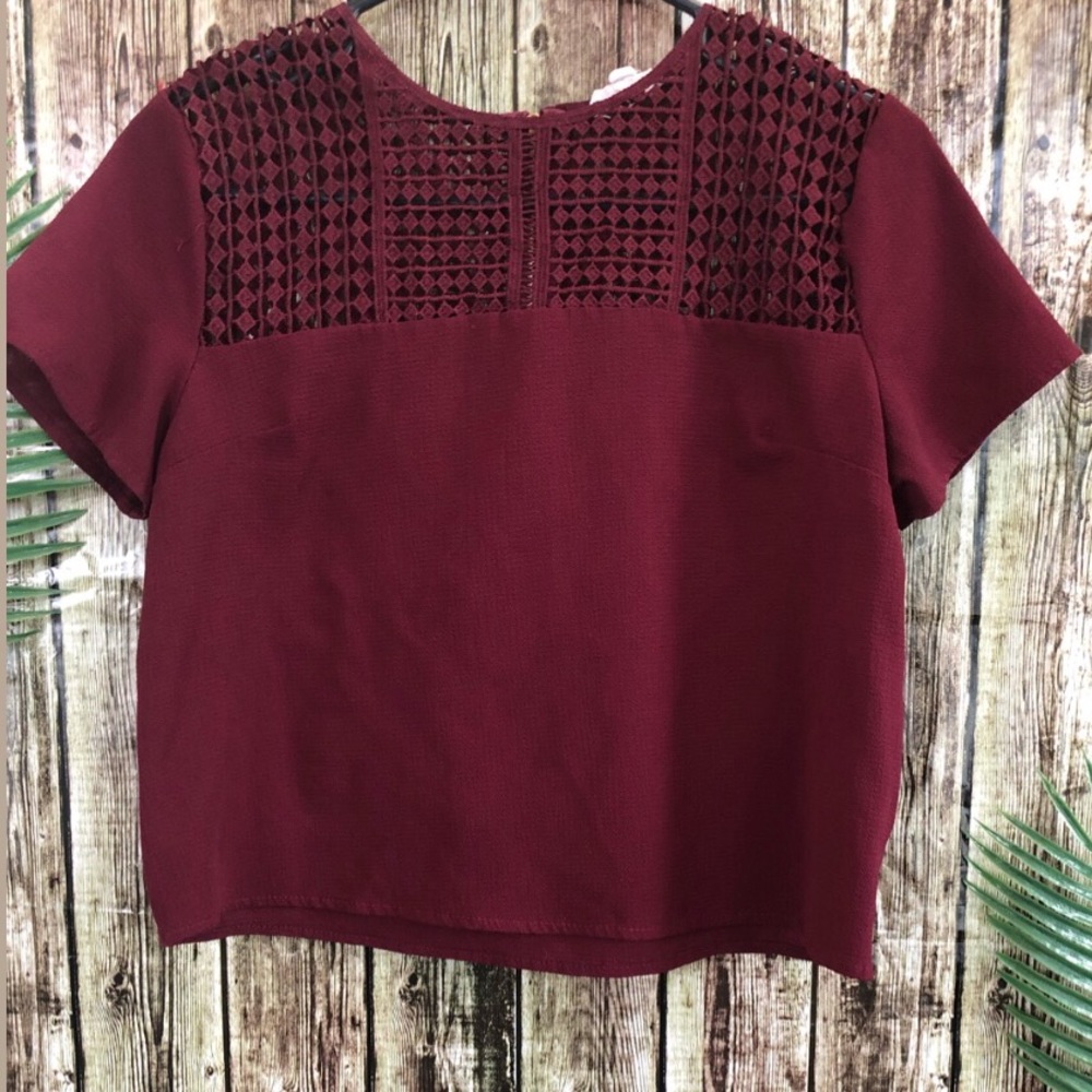 Agaci crop top